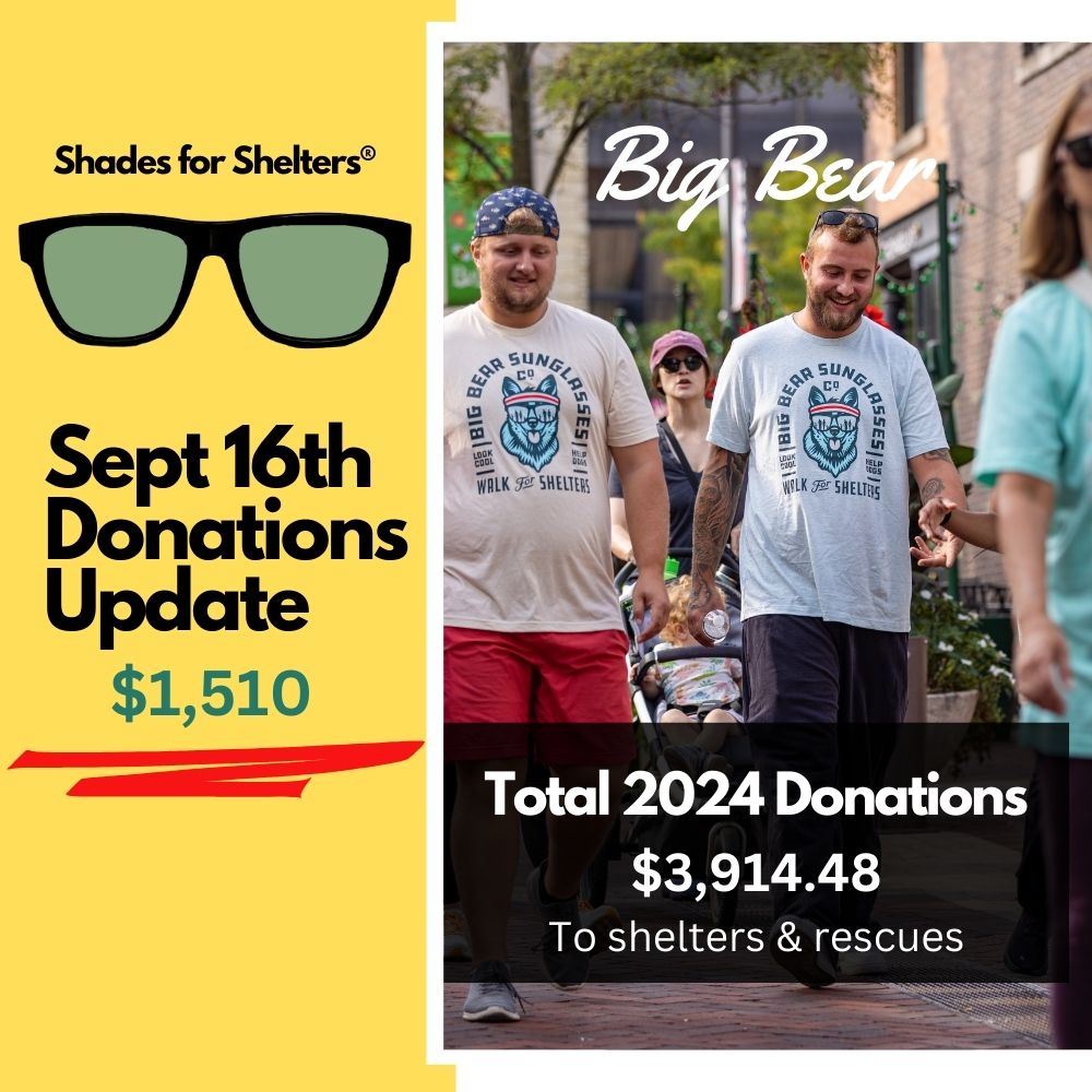 Walk for Shelters Recap! 2024 Donation Update