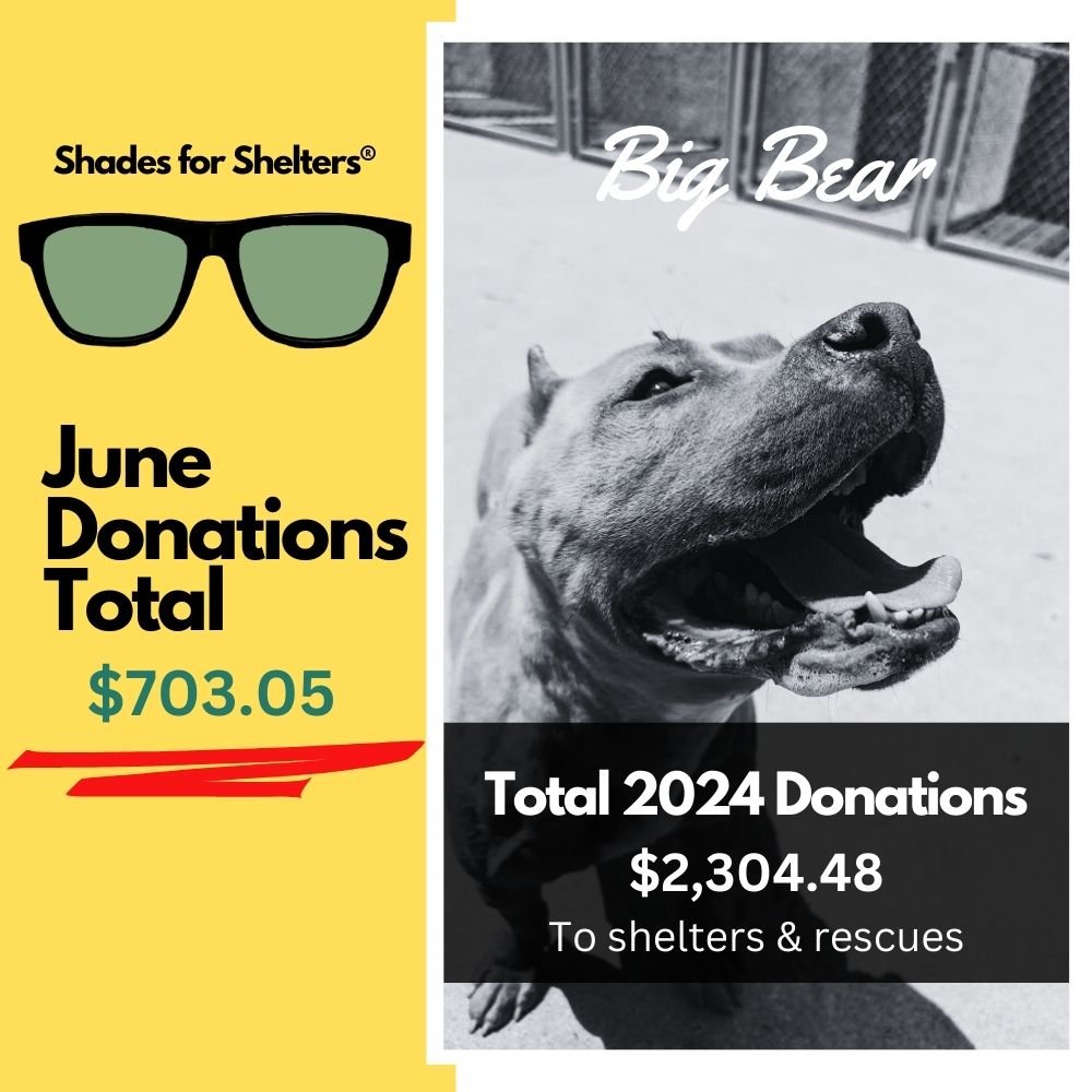 Shades for Shelters® - June Donations
