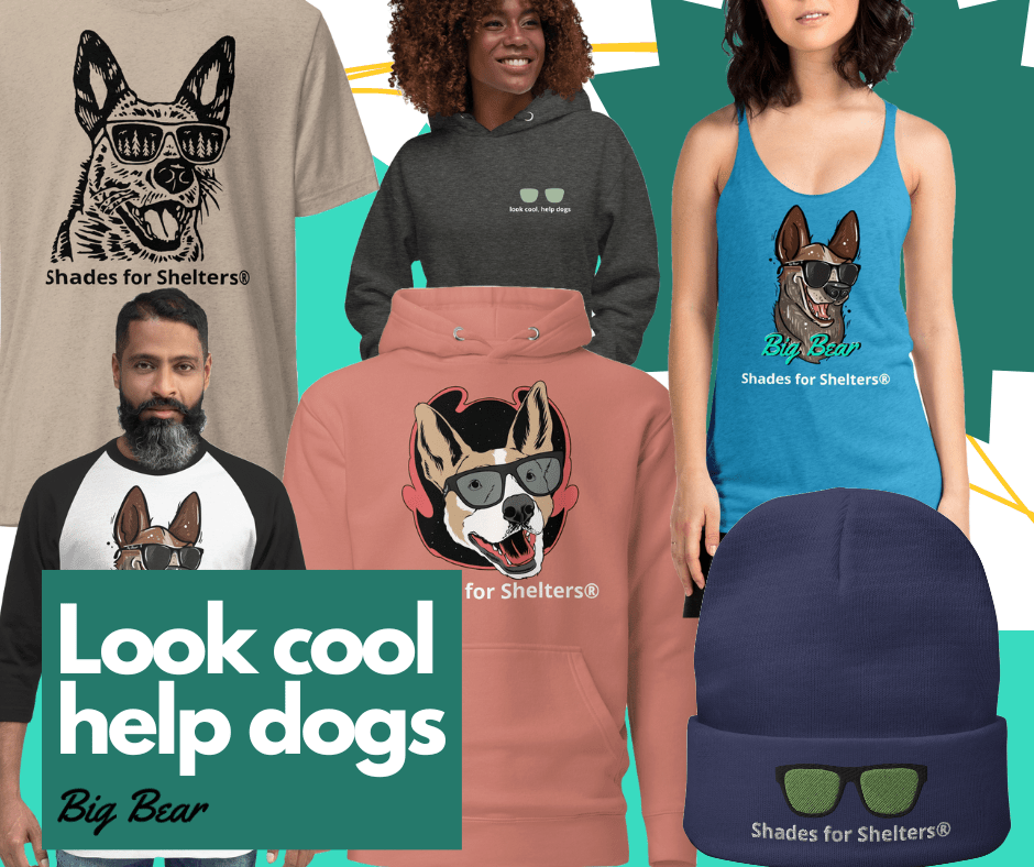 Big Bear Apparel Now Available!