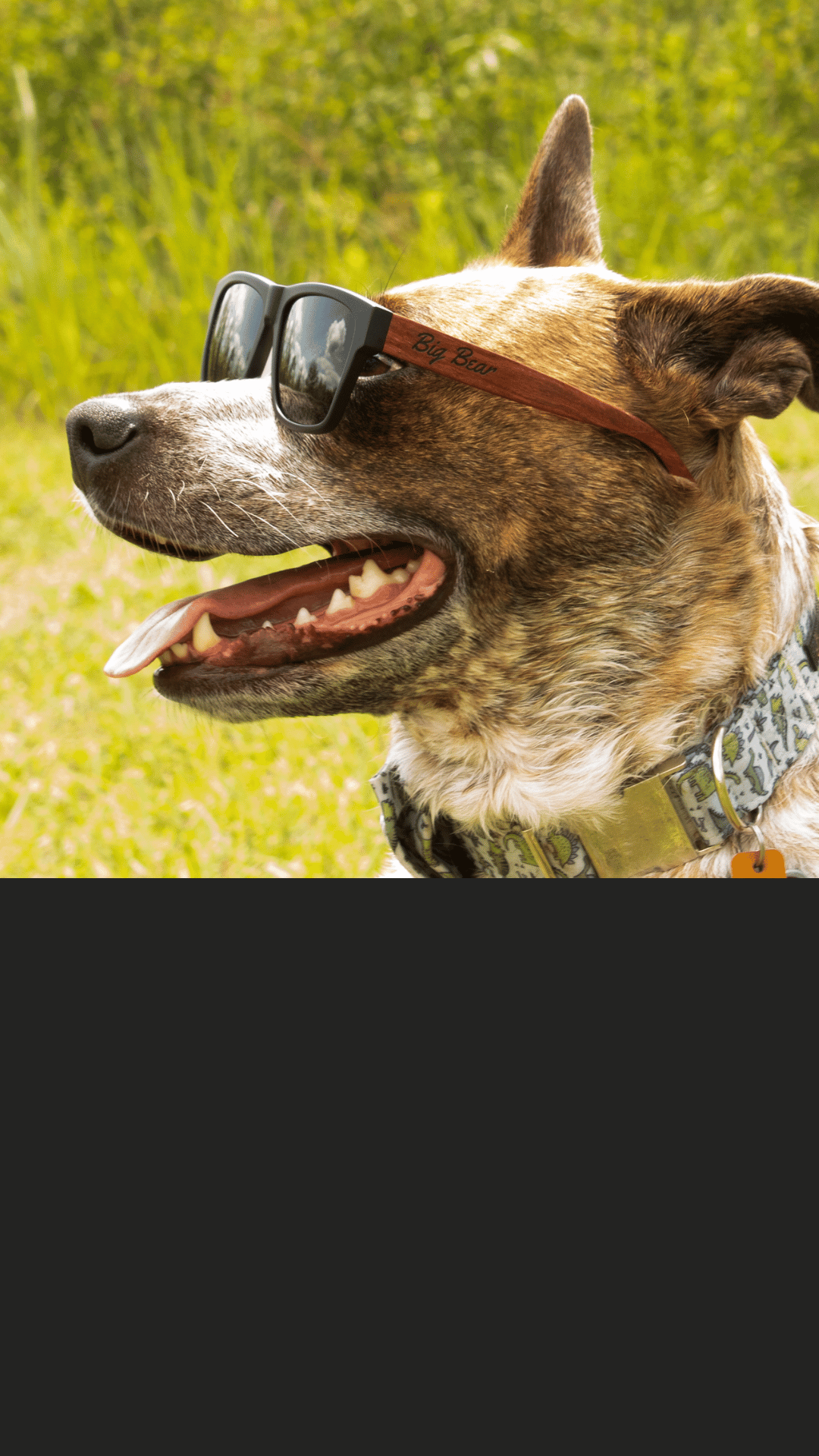 Big Bear Women's Sunglasses